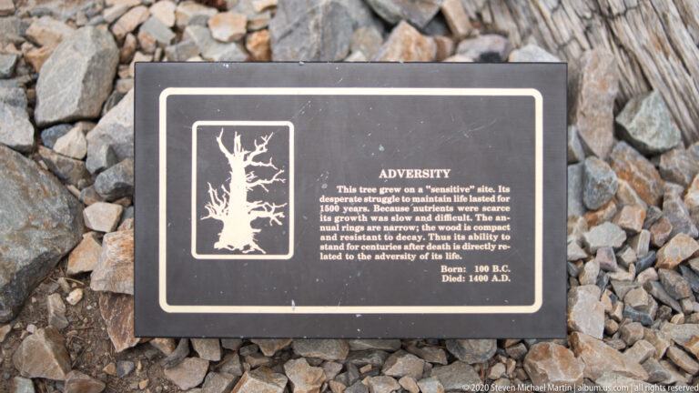 A black interpretive panel with a tree silhouette and white text rests against a bed of angular stones.