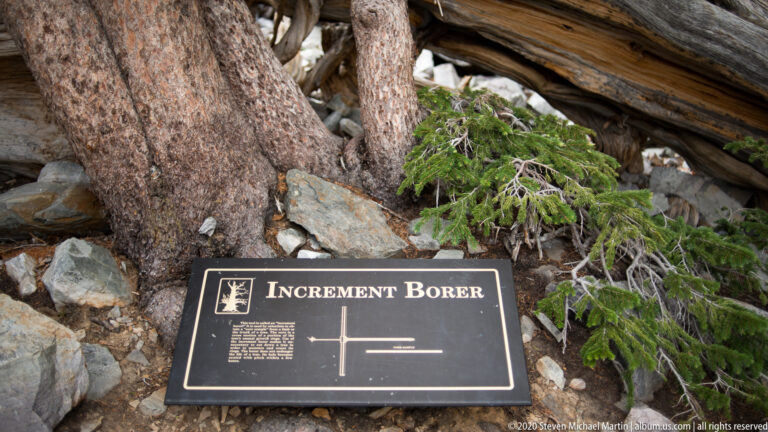 A dark panel with the heading “Increment Borer” and a white line diagram stands before tree trunks.