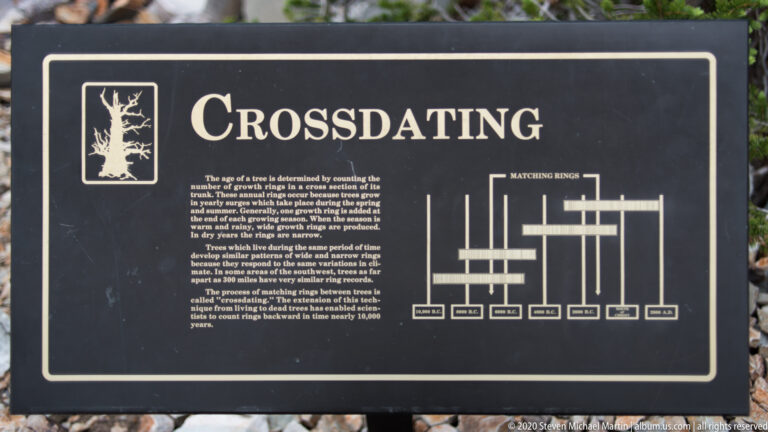 A black panel headed “Crossdating” shows a white diagram of matching horizontal ring patterns.