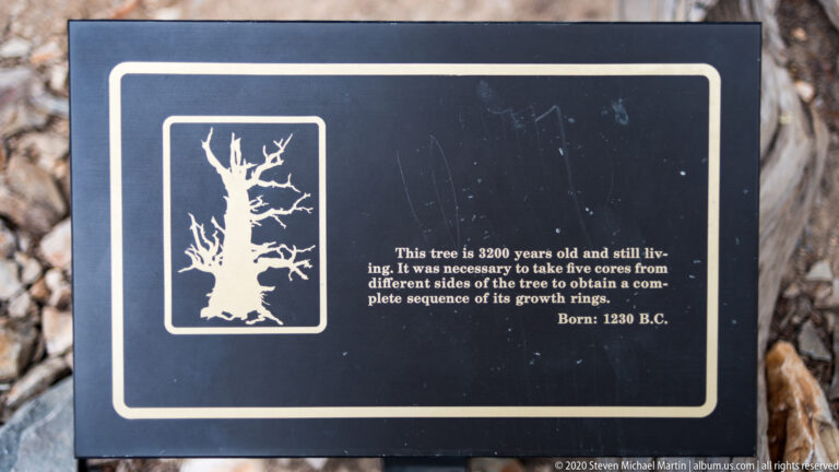 A black panel with a tree illustration and white text rests among pale rocks.