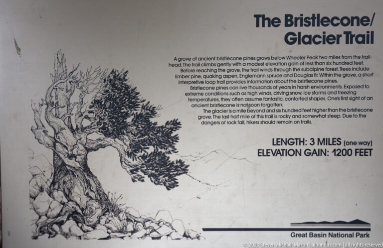 A sign titled “The Bristlecone/Glacier Trail” pairs an ancient tree drawing with route information.