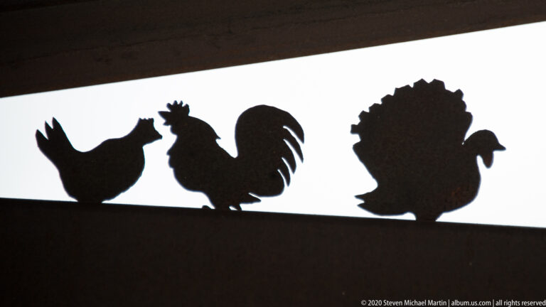 Three bird silhouettes—a chicken, rooster, and fan-tailed turkey—stand in a row against white.