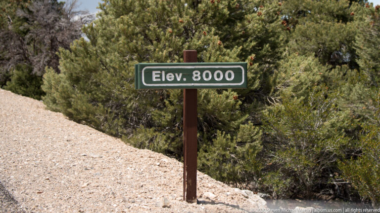An “Elev. 8000” sign stands beside a pale gravel path bordered by shrubs and trees.