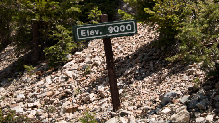 A tilted “Elev. 9000” sign stands among angular rocks beneath dark conifers.