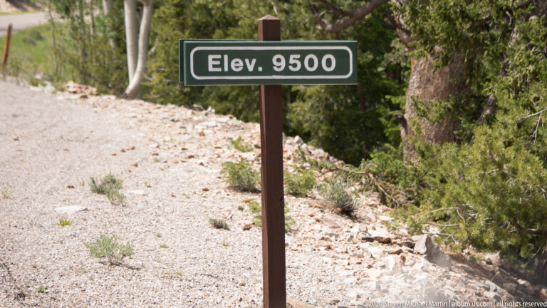A green “Elev. 9500” sign stands beside a pale gravel shoulder and shrubs.