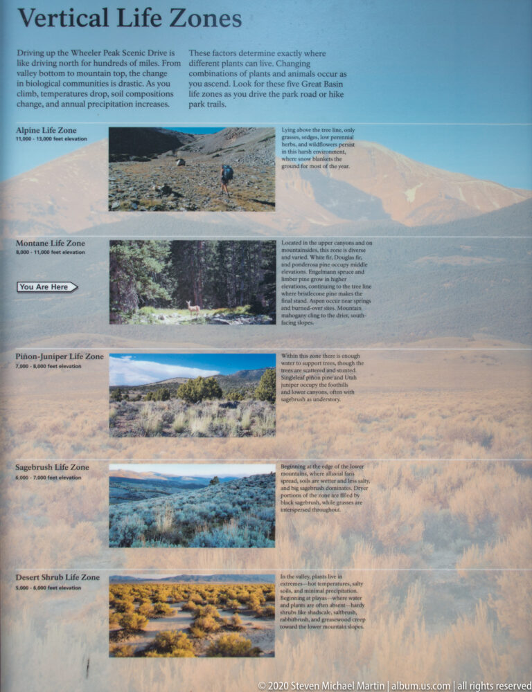A “Vertical Life Zones” panel presents landscape photos and text in bands from low to high elevations.