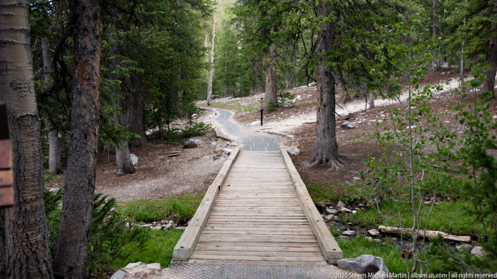 A wooden boardwalk crosses a narrow stream and continues as a dirt path through trees.