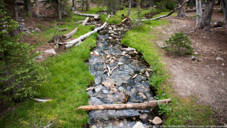 A shallow stony stream passes through bright moss and grass beneath trees, with fallen branches across it.