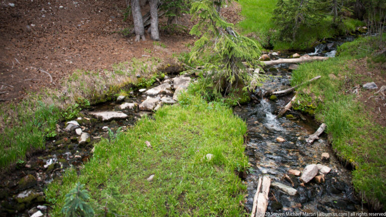 A shallow stream splits around a bright grassy island among stones and conifers.