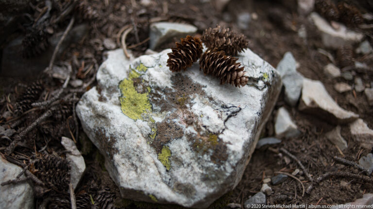 Two brown pine cones rest on a pale stone mottled with yellow-green lichen.