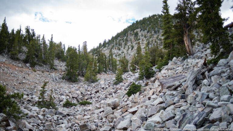 A pale boulder-filled gully runs between conifer-covered slopes, with a fallen trunk in front.