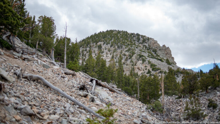 Loose pale stones cover a steep slope leading to conifers and a wooded crest.