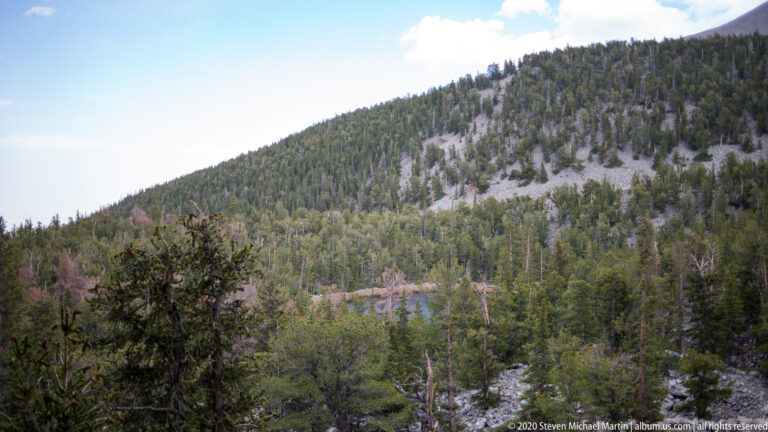 A forested mountain slope is patterned with pale rock outcrops above a small glimpse of water.