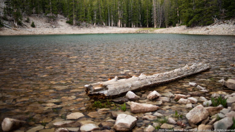 A pale weathered log rests in clear shallow water above multicolored stones.