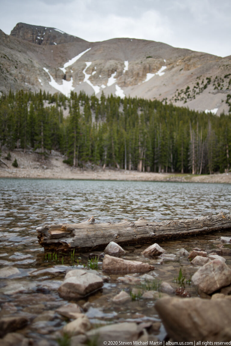 A low view shows driftwood above rounded stones, with Teresa Lake and wooded slopes beyond.