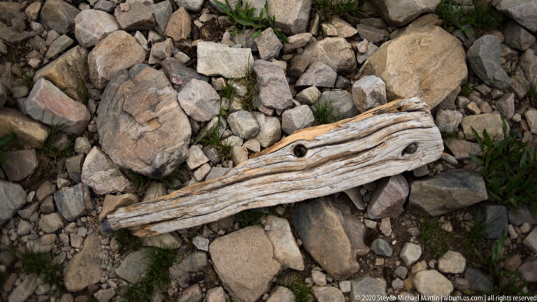 A bleached, grooved log lies across angular rocks with small plants growing between the stones.