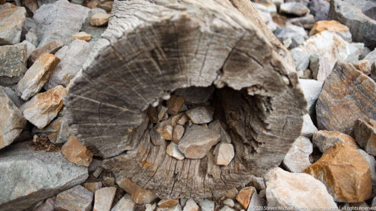 A weathered trunk end with dark growth rings lies among angular gray and tan boulders.