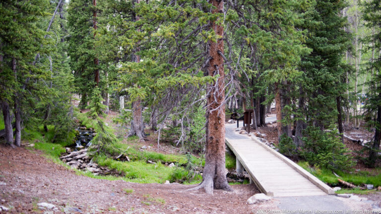 A raised wooden boardwalk curves beside a small stream through a green conifer forest.