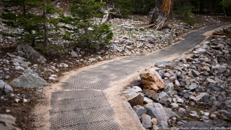 A textured wooden boardwalk crosses a shallow rocky stream in a conifer forest.