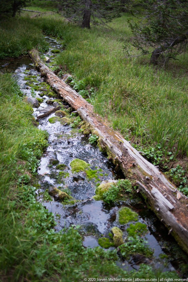 A shallow stream flows over mossy stones beside a long fallen log and green grasses.
