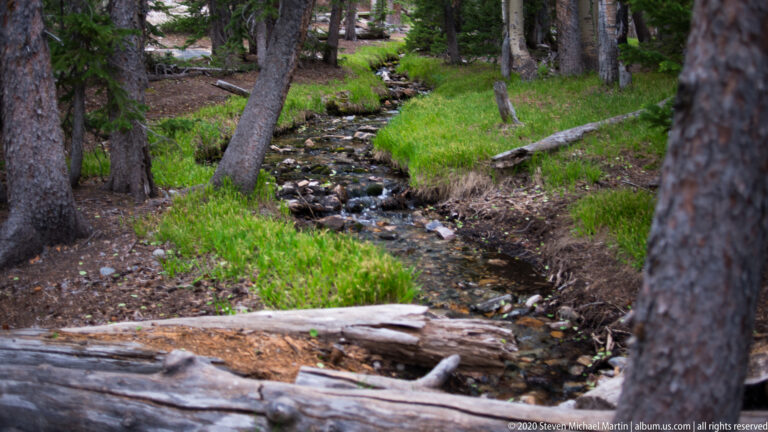 A rocky creek flows between grassy banks and fallen logs beneath conifers.