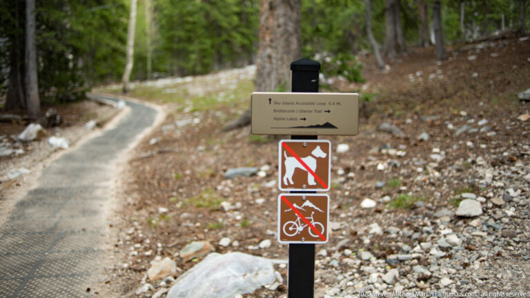 A trail post displays a directional sign above crossed-out dog and bicycle symbols.