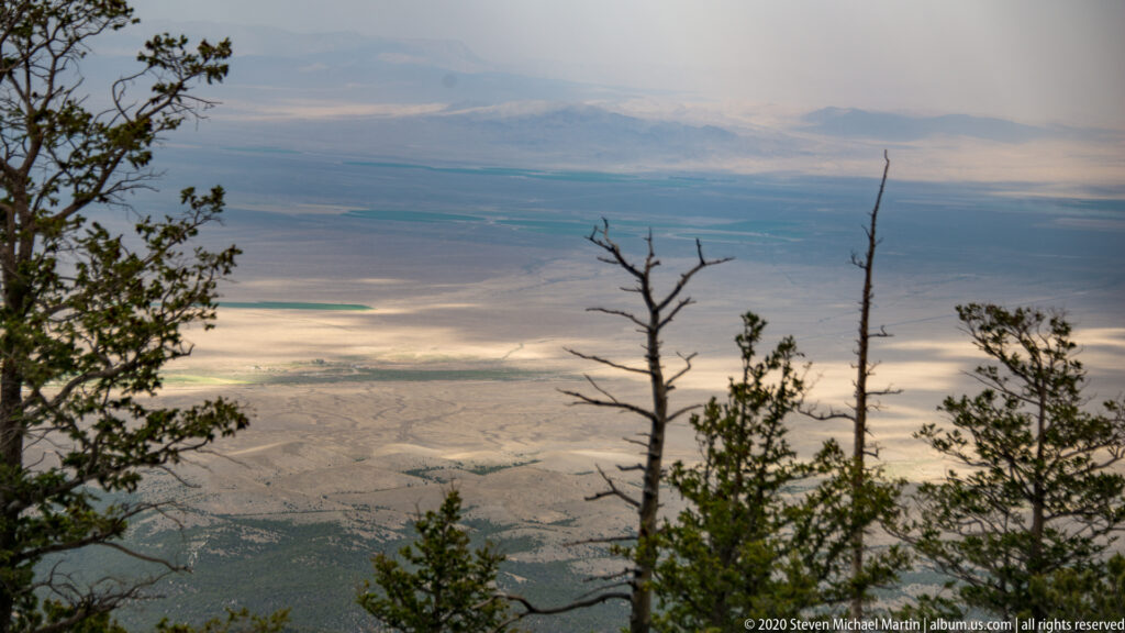 A pale basin with green patches lies below an overlook framed by trees and a bare snag.