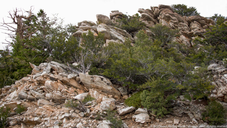 Pale boulders and rounded rock formations rise above shrubs and small trees on a steep slope.