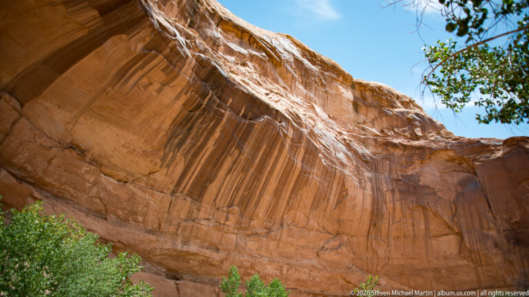 A tall curved sandstone wall with dark vertical streaks rises above a shaded alcove and leafy branches.