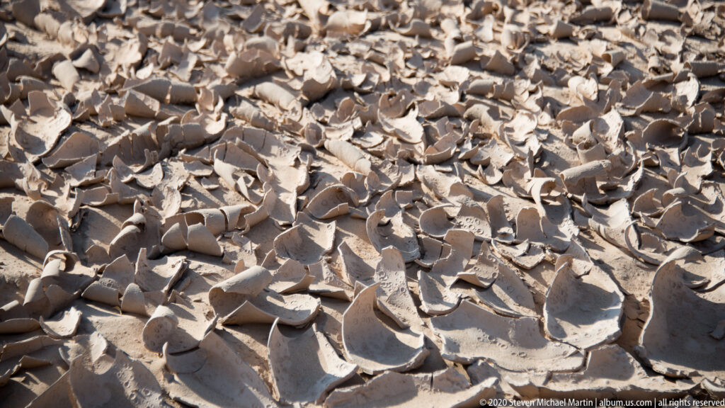 Curved pottery sherds, some with incised marks, lie scattered across dry sandy ground.
