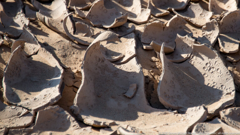 Close view of curved pottery fragments with incised circular and linear decoration.