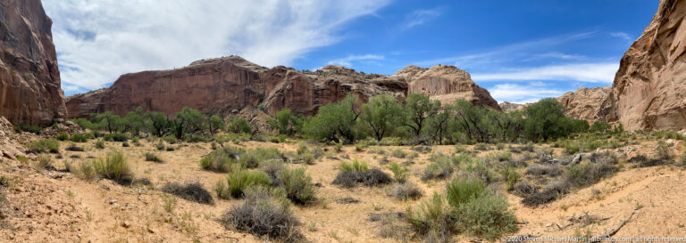 Leafy trees occupy a sandy canyon bottom beneath high sandstone cliffs and a blue, cloud-streaked sky.