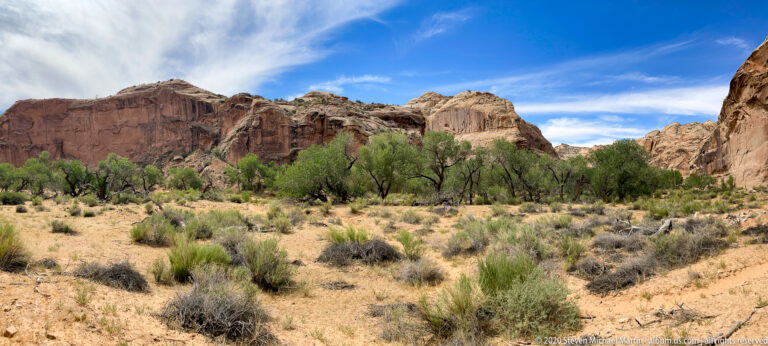 A broad sandy wash with shrubs leads to a tree-lined canyon floor beneath a high sandstone escarpment.