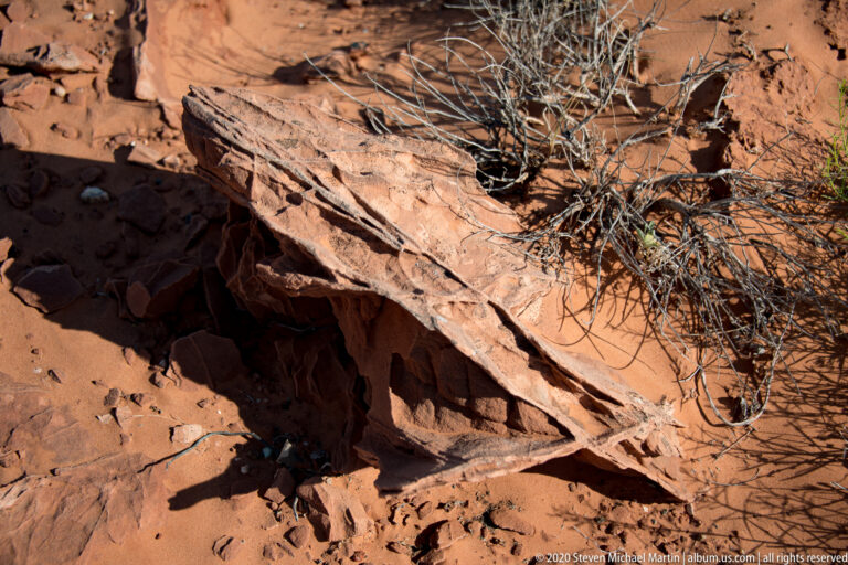 A broken sandstone shelf overhangs a shaded recess scattered with stones, with a leafless shrub above.