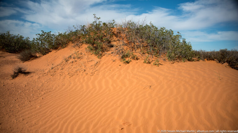 Curved ripples pattern an orange sand dune below shrubs along the crest, with a small track on the slope.