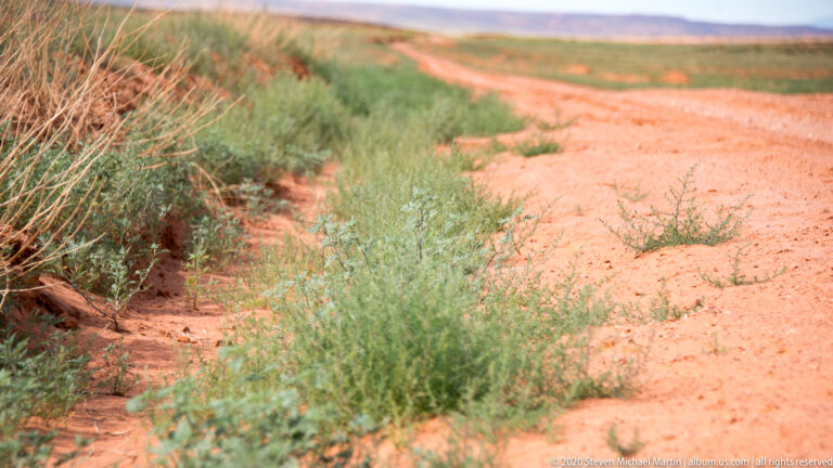 A dusty road curves through sparse shrubs, with dry branches in the foreground and open plateau beyond.