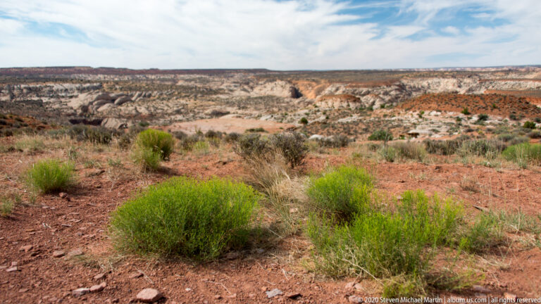 Sparse green shrubs dot red soil above a wide basin of pale eroded sandstone ridges beneath a partly cloudy sky.