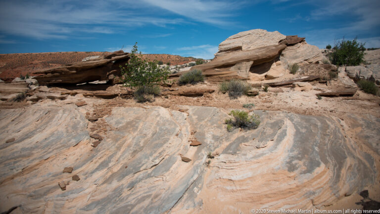 Curving bands cross pale sandstone slabs below a low ledge with a small tree and shrubs.