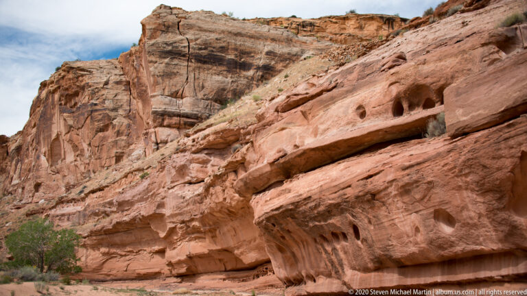 Rows of rounded hollows weather the face of a sloping sandstone ledge.