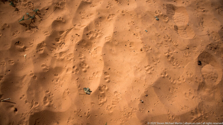 Shallow tracks and grooves mark a close view of orange canyon sand.