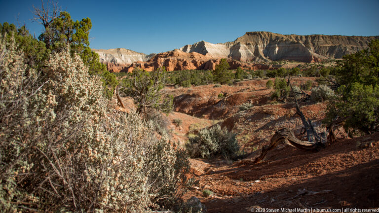 A pale juniper frames red gullies and layered cream cliffs across the basin.