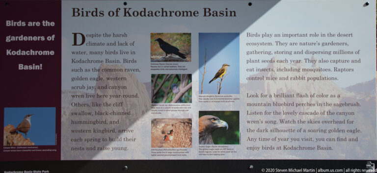A mounted panel titled Birds of Kodachrome Basin displays bird photographs and explanatory text.
