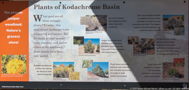 A Plants of Kodachrome Basin sign combines plant photographs, interpretive text, and an orange sidebar.