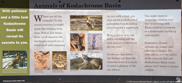 An Animals of Kodachrome Basin panel shows wildlife photographs and advice for observing animals safely.