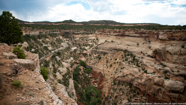 A steep sandstone gorge drops to a shaded, shrub-filled drainage between layered walls.
