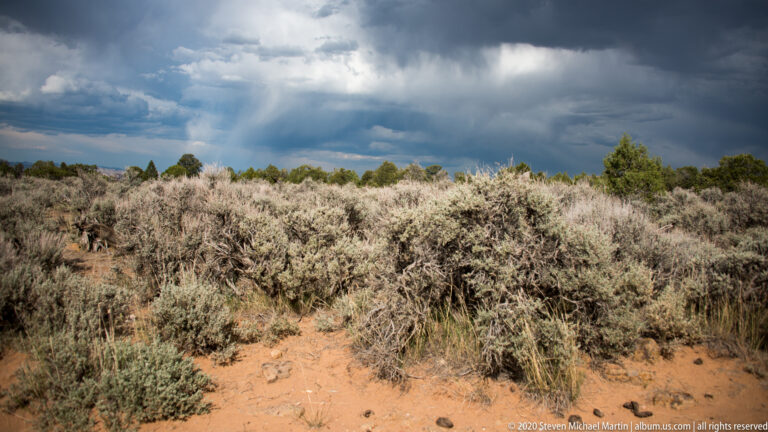 A sandy track crosses pale sagebrush beneath a broad dark storm front.