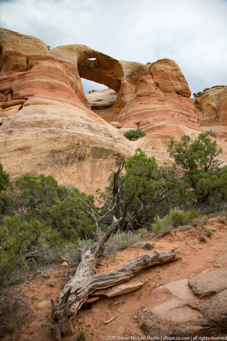 A narrow sandstone arch crowns a banded cliff above shrubs and a fallen trunk.