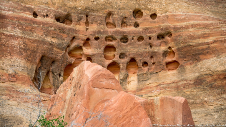 Rounded cavities and small pits form a honeycomb pattern across a sandstone face.