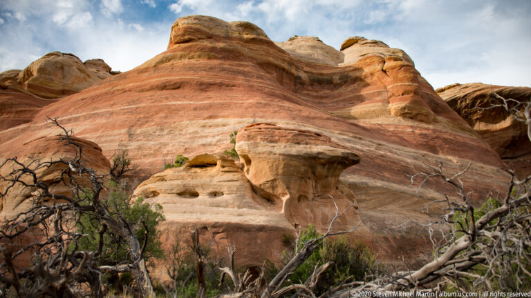 Rounded red sandstone rises behind dry branches and scattered desert shrubs beneath the open sky.