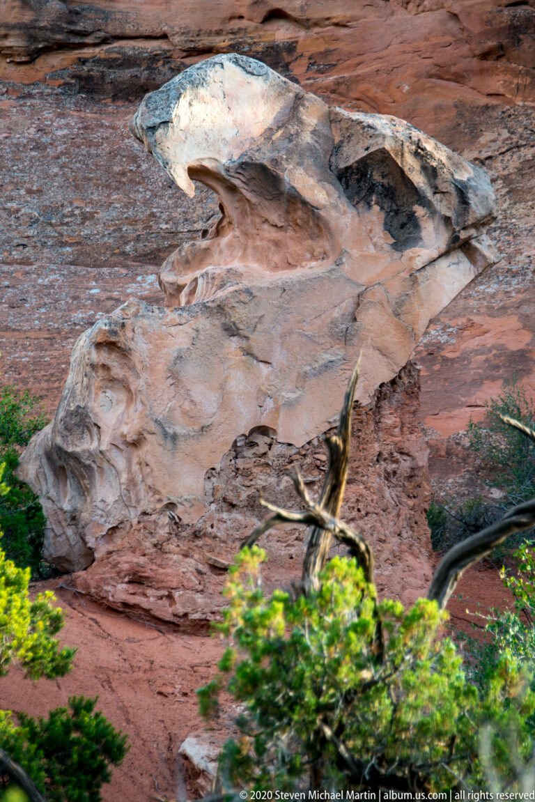A pale, smoothed area and shallow grooves cross a reddish sandstone slab, with green leaves at the lower edge.